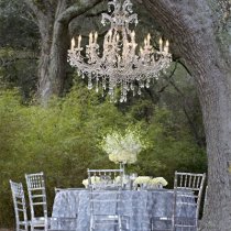 thecottageofdreams.com